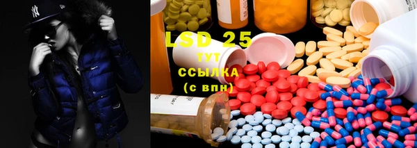PSILOCYBIN Мегион